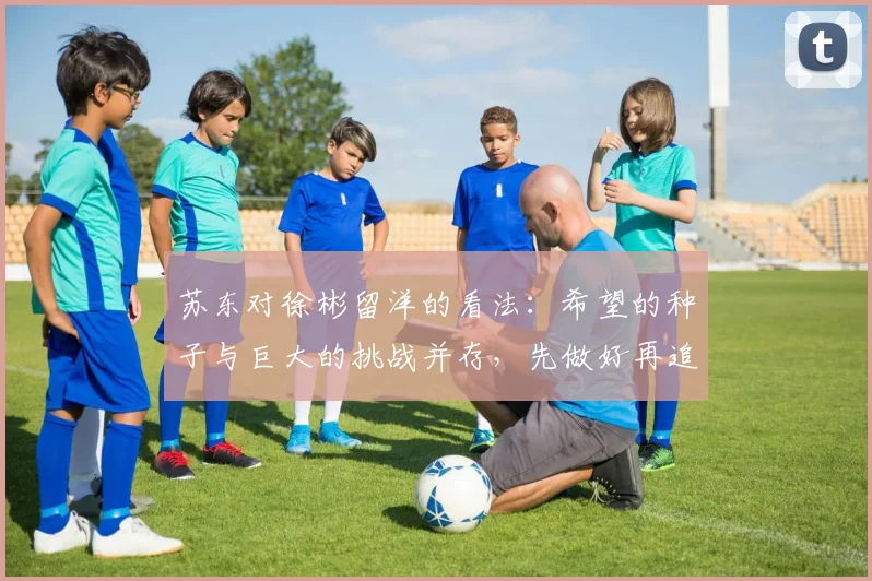 苏东对徐彬留洋的看法：希望的种子与巨大的挑战并存，先做好再追求完美
