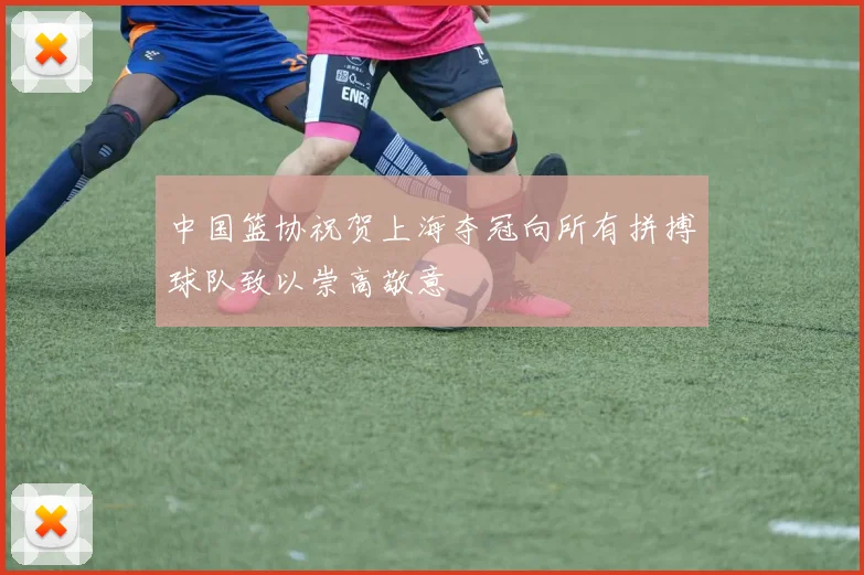 中国篮协祝贺上海夺冠向所有拼搏球队致以崇高敬意