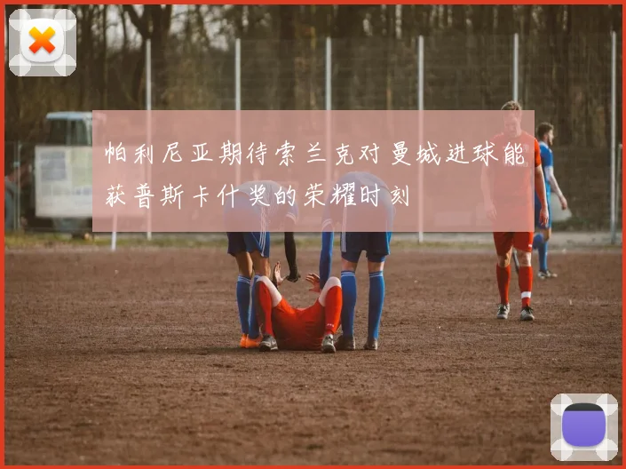 帕利尼亚期待索兰克对曼城进球能获普斯卡什奖的荣耀时刻